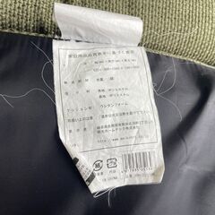 K51 座椅子 ひじ付 リクライニング フットレスト 一体型 角度調節可 緑 ローチェア 極厚 座椅子 リクライニング 肘掛け付 ハイバック 1人掛け ソファ フロアチェアの画像