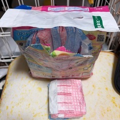 ペ愛犬用女の子マナーウェアの画像