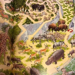 動物の迷路　本の画像