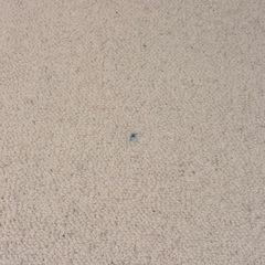 ウニコ ラグ MENGEN メンゲン 200×200の画像