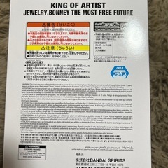 ボニー ニカの画像