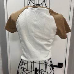 服　Tシャツの画像