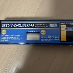 蛍光灯ランプの画像