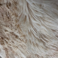 ベージュ ラグカーペット 200×160cm 新品未使用 ミニラグ付き の画像