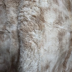 ベージュ ラグカーペット 200×160cm 新品未使用 ミニラグ付き の画像