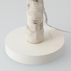 白樺ツリーの画像