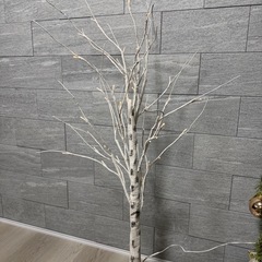 白樺ツリーの画像