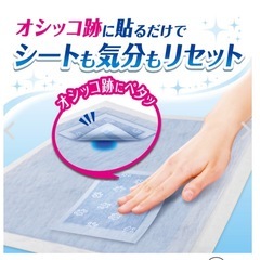 犬用オムツ と貼るだけデオシート キレイパッド SとMセットの画像