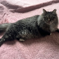 ゴロスリの甘えん坊女子です❤️