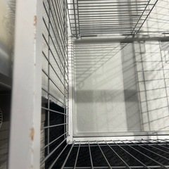 犬ケージの画像