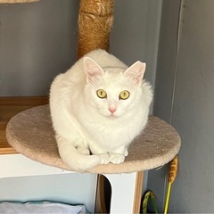 人が大好きな女の子です❤️