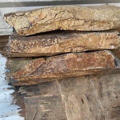 3、40センチの岩の柱の画像