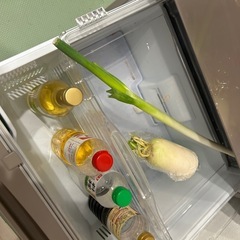 冷蔵庫の画像