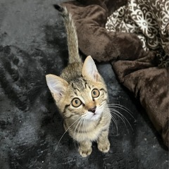 甘えん坊の元気っ子です❤️