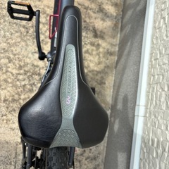 MTB  GIANT Liv TEMPT 3  　の画像