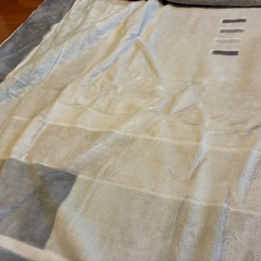 ホットカーペットの画像