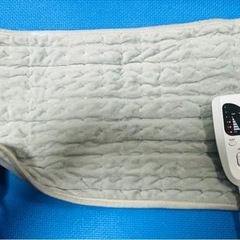 ホットカーペット/マット　60 x 30cmの画像