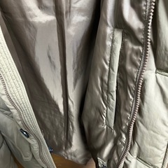 ユニクロダウンジャケットLサイズ
の画像