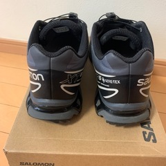 サロモン  XT-6  28cmの画像