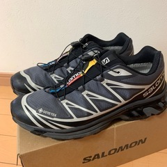 サロモン  XT-6  28cmの画像