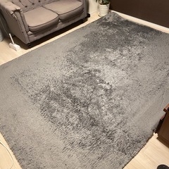 2m×2.57m グレーのフワフワラグの画像