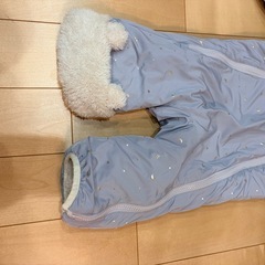 プティマイン　カバーオールの画像