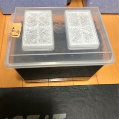 オキナワカブトムシ5匹　コバエシャッター小付き　の画像