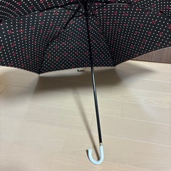 折りたたみ傘の画像