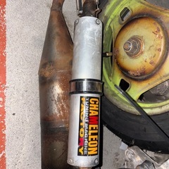 v100 カメレオンファクトリーユーロの画像