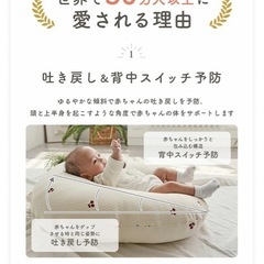 ロトトクッション  、エアメッシュタイプの画像