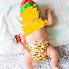 ベビー布団　オーガニックコットン100の画像