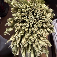 しめ飾り用藁　青刈り藁の画像
