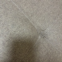 寝転びソファーの画像