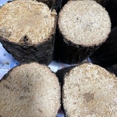 産卵木　クワガタBの画像