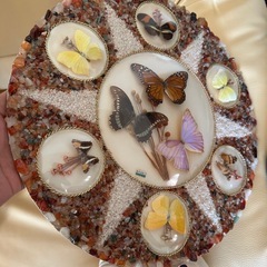 蝶 ブラジル産 壁掛け インテリアの画像