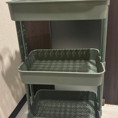 スモーキーグリーンワゴンの画像