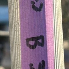 アルミ三脚　園芸　330㎝　11尺　剪定　B330　引き取り：田川郡香春町（の画像