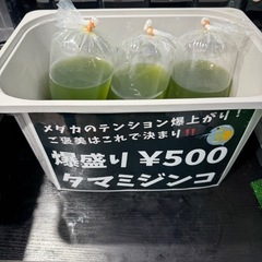 年末年始　めだか販売　タマミジンコ　福袋 の画像