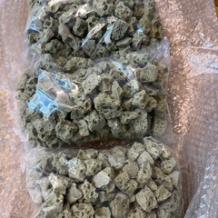 年末年始　めだか販売　タマミジンコ　福袋 の画像