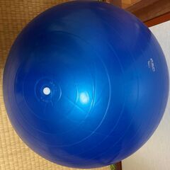 バランスボールの画像