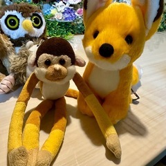 ぬいぐるみ5体の画像