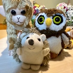 ぬいぐるみ5体の画像