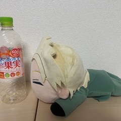 ぬいぐるみの画像