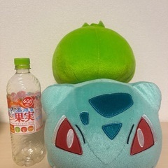 ぬいぐるみの画像