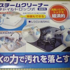 【年末大掃除に】スチームクリーナー家庭用　チャイルドロック式の画像