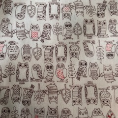 ラミネート加工生地　の画像