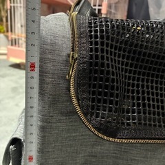 ペットのリュックキャリーの画像