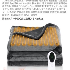 電気毛布の画像