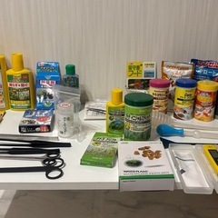 アクアリウム　熱帯魚　水槽　飼育用品の画像