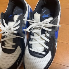 【決まりました】NIKE エアーマックス　24.5㎝の画像